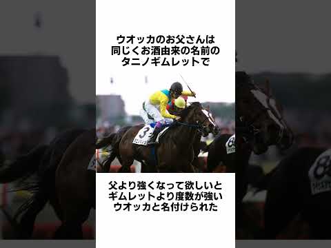 【ウマ娘】牝馬ダービー馬『ウオッカ』のヤバすぎる雑学 #Shorts