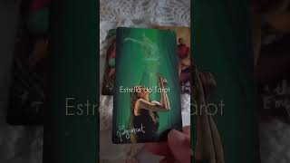 Revelação IMPORTANTE para você #taroamor #canaldetarot #tarotreading