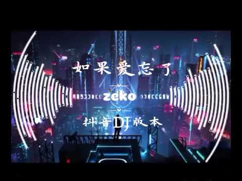 如果爱忘了 -DJ zeko [如果爱忘了 泪不想落下那些幸福啊 让她替我到达]