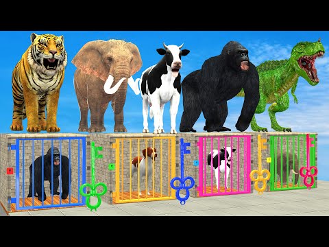 Cow Mammoth Elephant Dinosaur Gorilla Guess The Right Key ESCAPE ROOM CHALLENGE Animals Cage Game