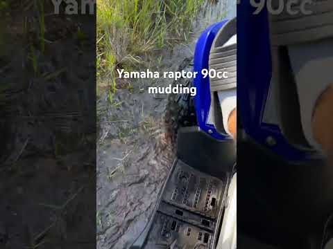 Yamaha raptor 90 mudding!!