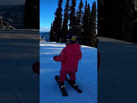 2 Year old Skiier. - Dad is #1 cheerleader #cuteness #dadlife #parenting