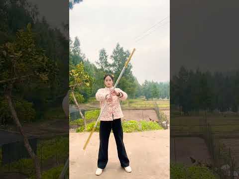 Kungfu china master 211/Hướng dẫn múa gậy #霞光腊月#kungfu #wing chun