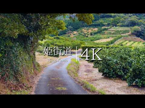 Walking along Hime Kaido | Tsuzuki Station → Kiga Checkpoint - JAPAN in 4K