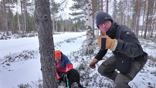 Lapponian Herder Puppy Learning to Track – SAR Dog Training