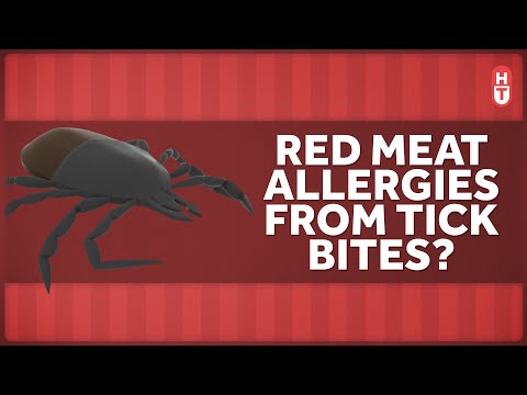 How Can a Tick Bite Make You Allergic to Red Meat?