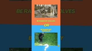 🐶WOULD YOU RATHER ANIMAL CHALLENGE🐱#wouldyourather #animalchallenge #animalquiz #challenge