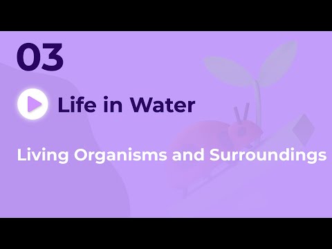 Life in Water | Vedantu