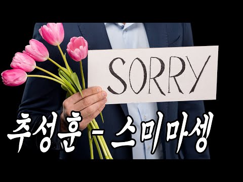 [MV] 추성훈 - 스미마셍