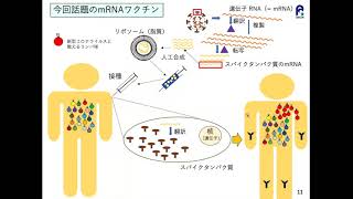 「免疫とワクチン」小安 重夫　国立研究開発法人 理化学研究所　理事／特定非営利活動法人 日本免疫学会 理事長