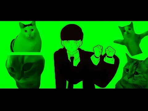 猫ミーム×Bling-Bang-Bang-Born 【Lyric Video】