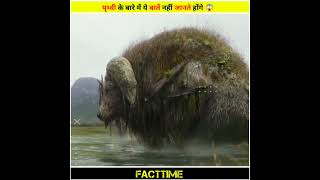 Do you know 🤔🤔🤔😯😯 #factvideoinhindi