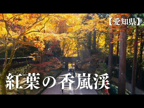 (愛知県)香嵐渓の紅葉