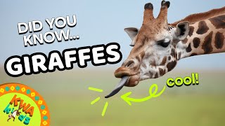 Meet the Tallest Animal! Fun Facts About Giraffes | KWA Kids Animal Adventures