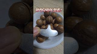 고소한 분유맛 마카다미아