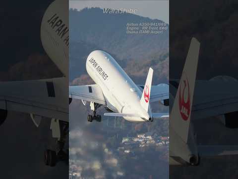 JAL A350-941XWB | The take-off scene is dynamic and beautiful! | Osaka ITAMI Airport