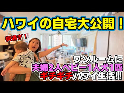 【狭過ぎ！】ハワイの自宅大公開！ワンルームに夫婦＆ベビー&犬1匹のギチギチハワイ生活！！の回！！