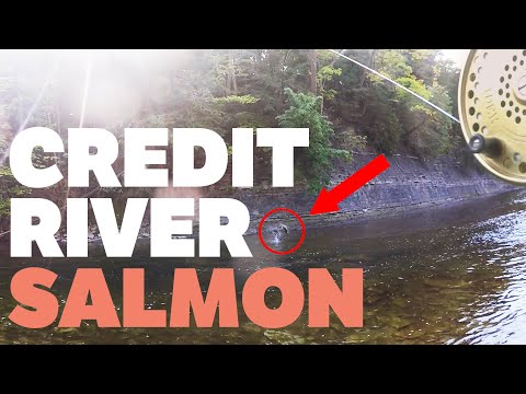 CREDIT RIVER SALMON FISHING