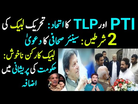 PTI & TLP Ka Itehad | TLP Ki 2 Shirtein Senior Sahafi Ka Dawa | Labbaikian Nakhush, Hakumat Preshan