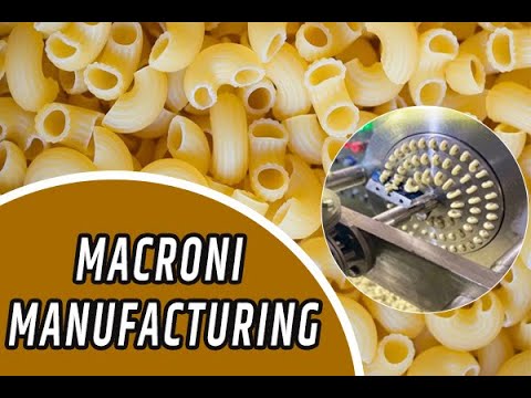 Webinar on Macaroni Manufacturing Business