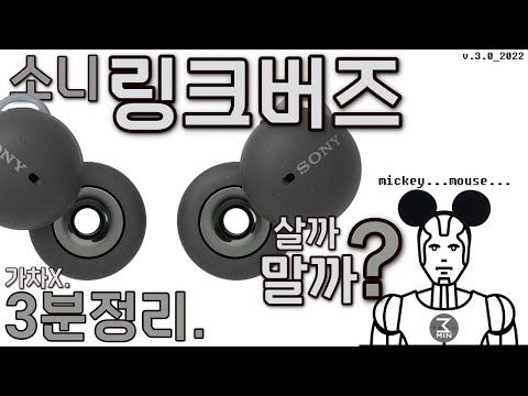 소니 링크버즈 살까말까? 3분정리.