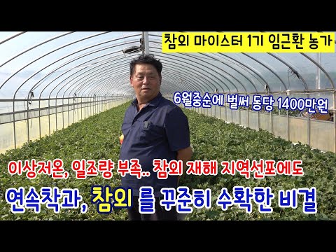 재해지역 선포에도 참외를 꾸준히 연속착과, 수확한 비결은? (참외 마이스터 1기 임근환 농가)