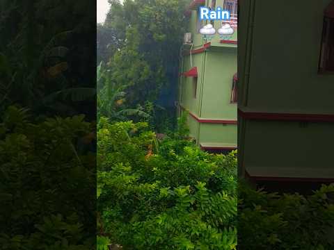 Rain Sound #nature #rain