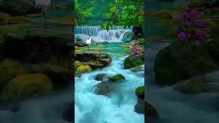 flowing water sounds | Relaxing Music | सकारात्मक वाइब्स | आरामदायक संगीत