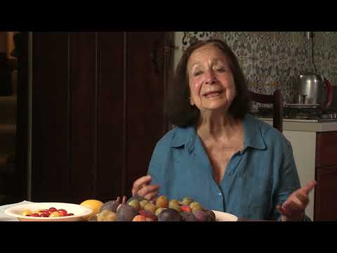 Claudia Roden - The traditional food of Spain (77/155)