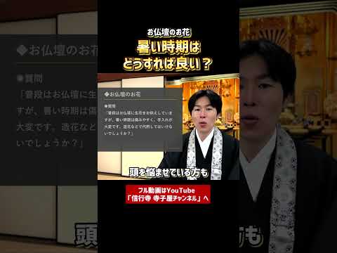 【仏事作法解説】お仏壇のお花。暑い時期はどうすれば良い？①　#お寺　#仏壇　#お花　#浄土真宗本願寺派　#マナー