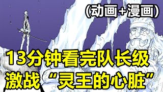 13分鐘看完“護廷十三隊隊長級VS靈王的心臟·傑拉德”，死神千年血戰