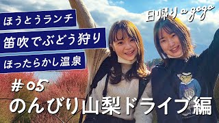 【山梨ドライブ旅】ぶどう狩りや昇仙峡にほったらかし温泉まで！山梨の観光名所を車で巡ってきた【日帰りagogo】