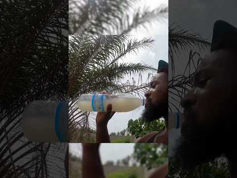 Getting lit in an African Forest #cotedivoire #travelvlog #ivorycoast #shorts #travel