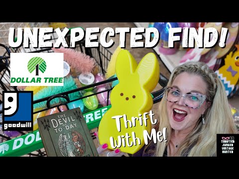 The Magic of Merging Goodwill Thrifting with Dollar Tree Decor!