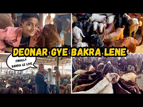 |• Bakra🐐 Lene Hum Sab Gye Deonar Bakra Mandi | Bakra bahot Accha Mila | Deonar Vlog 2024 •|