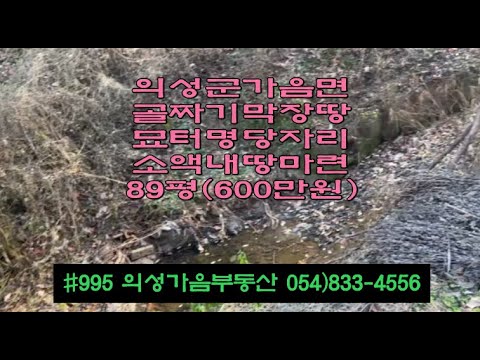 #995 의성가음부동산 묘터명당!! 계곡안 막장땅 89평 600만 (당6.7만원) 싼물건 전기가능 확트인 평지 조용한곳 자연인 주말농장 묘터적합 #의성군땅#의성토지#의성부동산