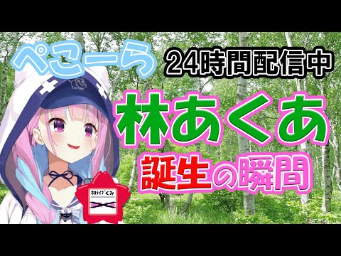 【林あくあ誕生】ぺこーら24時間配信中の林あくあ誕生シーン【ホロライブ/兎田ぺこら切り抜き】