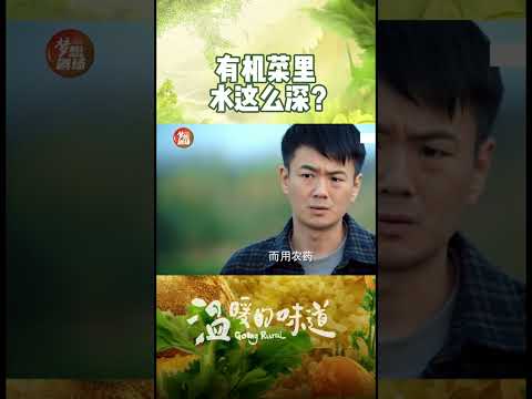 有机菜居然洒了农药？靳东饰演的村书记该如何解决？#靳东 #温暖的味道  #TheSmellofWarmth #jindong