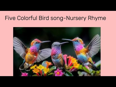 Bird Song - Kids Song - Learning Video