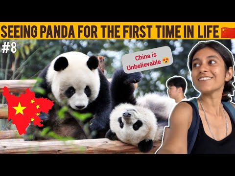 GIANT PANDA BREEDING BASE CAMP 🐼 | Life Time Experience In China 🇨🇳