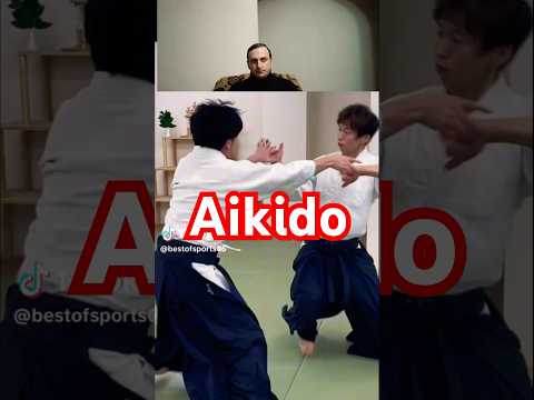 Aikido master amazing skills martial arts hapkido jiujitsu judo Kung Fu wushu karate training