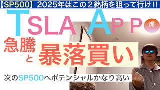 TSLAテスラAPPアップラビン「急騰と暴落買い」次のSP500,会計は強いガチホしていけ【全力次のパランティア】株価テンバガー100倍狙え　2025年の米国株はこの2銘柄に注目