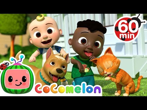 Humpty Dumpty   CoComelon Nursery Rhymes & Kids Songs 1