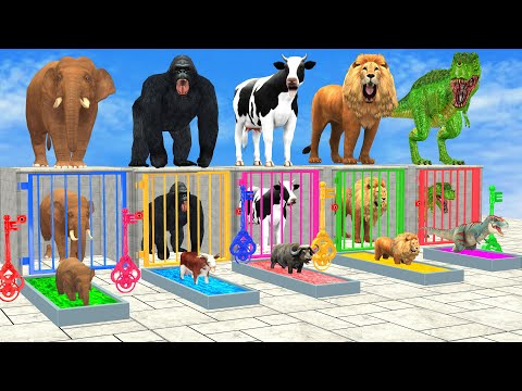 Cow Elephant Lion Gorilla Tiger T-Rex Guess The Right Key ESCAPE ROOM CHALLENGE Animals Cage Game