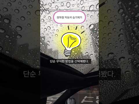 이게 효과가 있을까? 😶‍🌫️ #장마 #자동차 습기제거 #쇼츠 #shorts