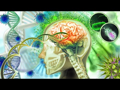 Immediate BRAIN Repair 🧠 Your Body Will Have Clear Changes, Full Body Massage (432Hz) #1