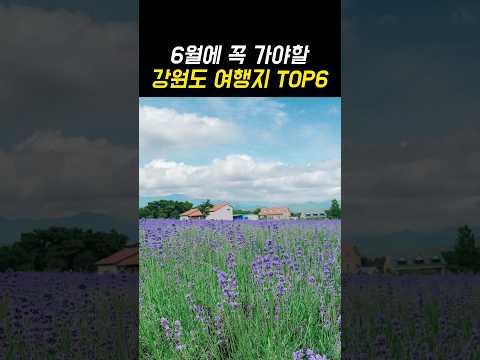 6월 국내 여행지 추천 강원도 여행 가볼만한곳 TOP6