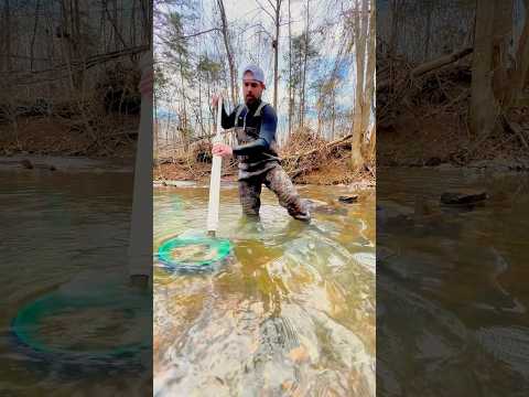 Now This is a Test Pan! Gold panning / Prospecting for Gold!