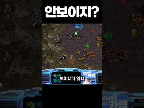 트리플스타 쭉쉐프