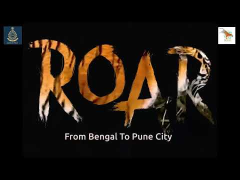 Get Ready to Unleash the 'ROAR' from Bengal to Pune | #ROAR